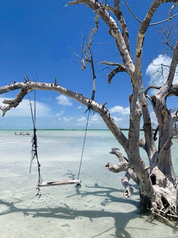 Tree swing at a sandbar in Key West Florida. Blue water and people sitting in the distance