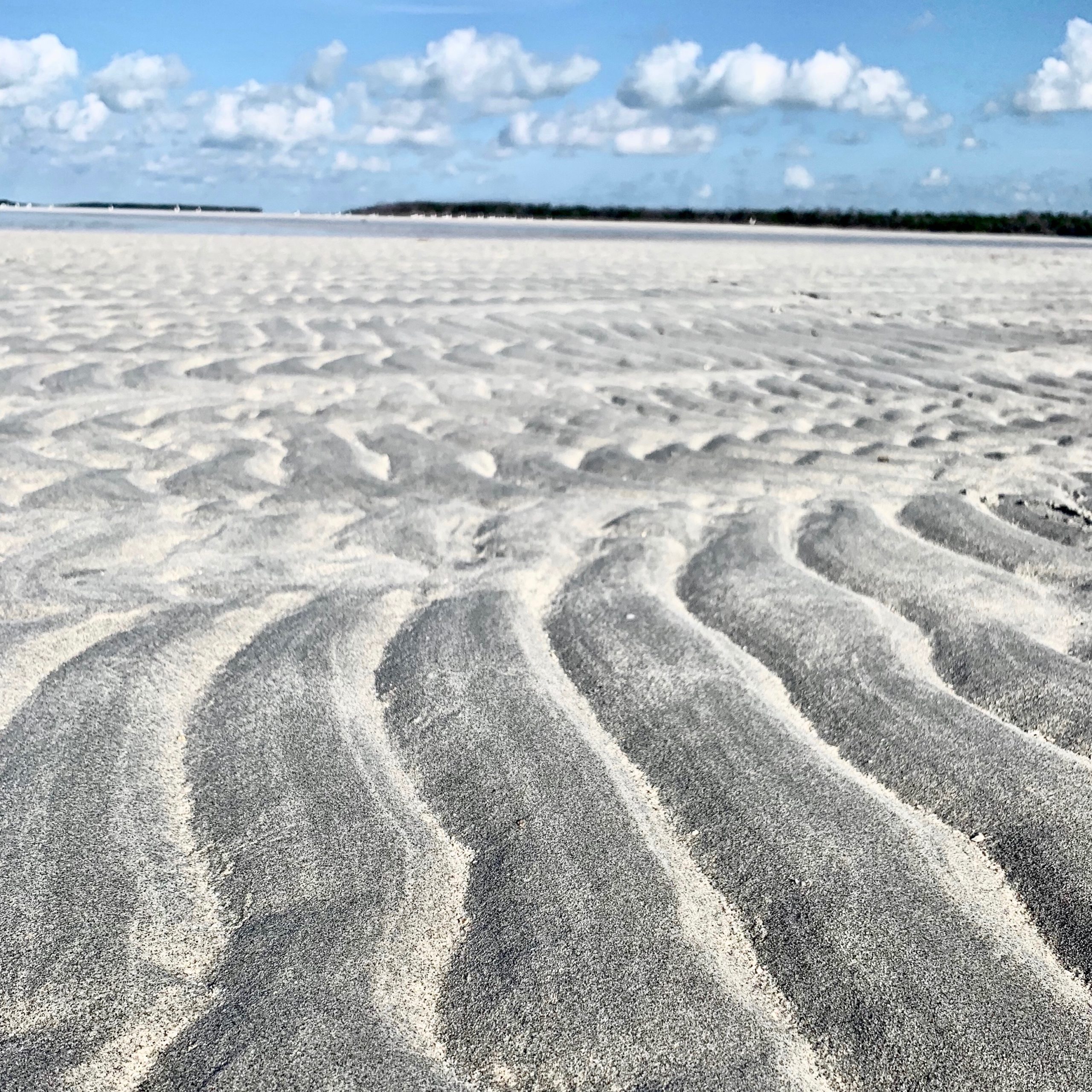 low tide at a sandbar