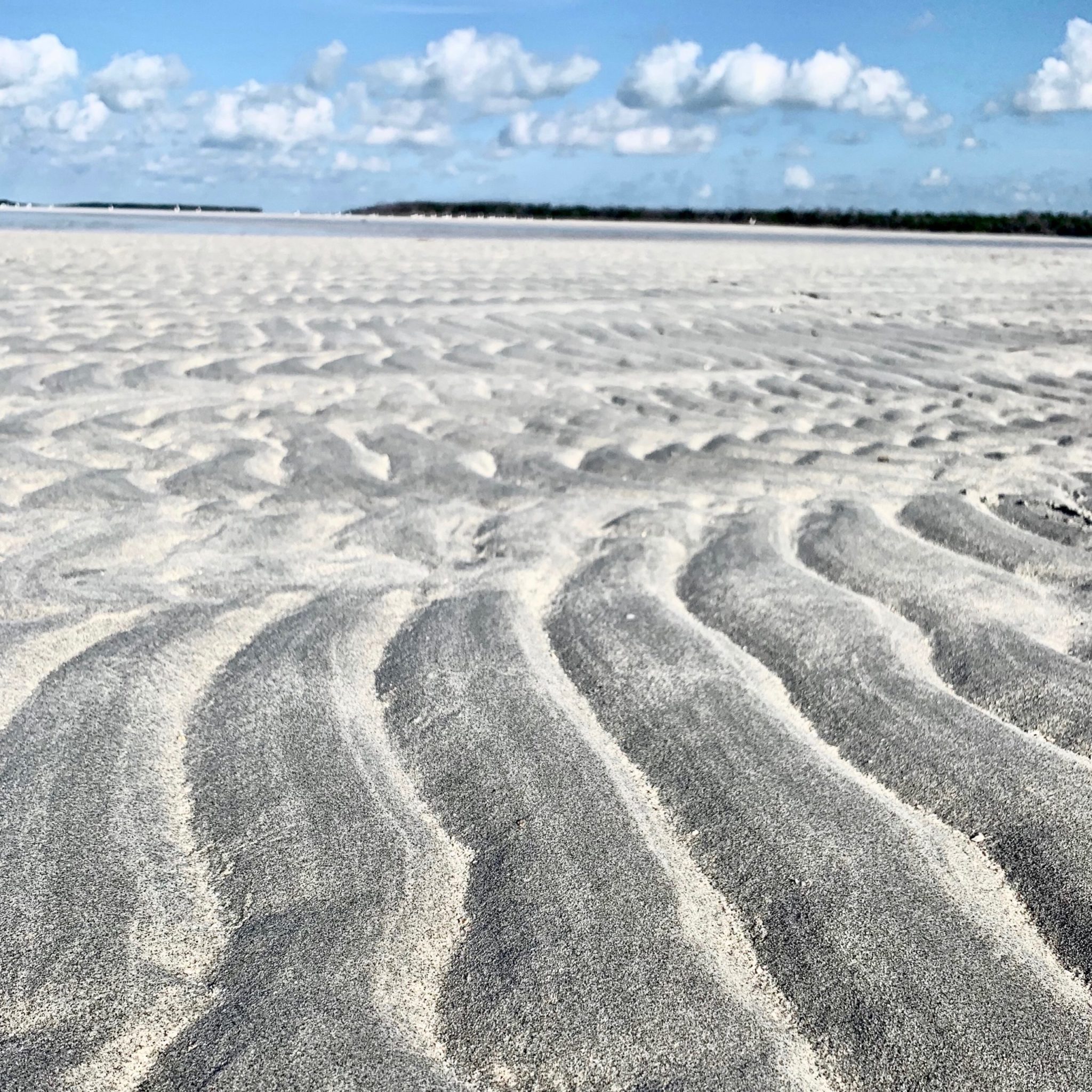 sandy beach 