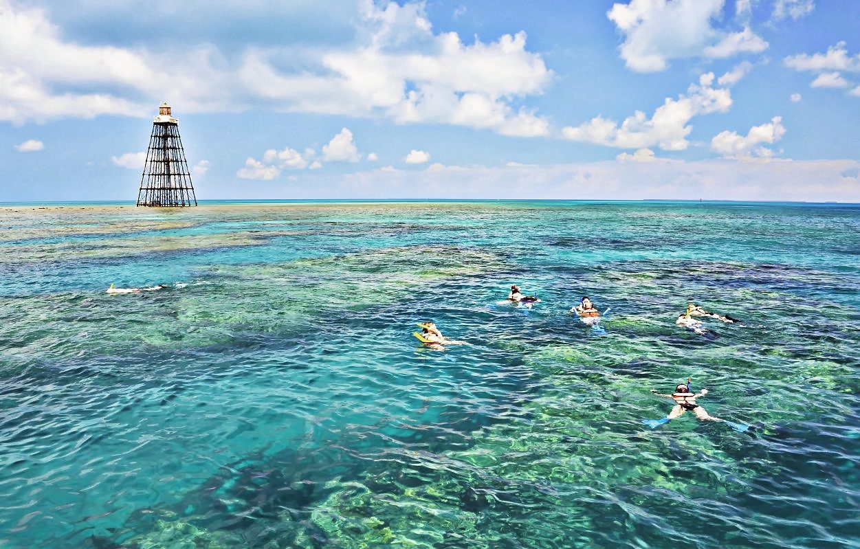 people snorkeling over reef